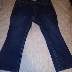 Maurices Bootcut Jeans